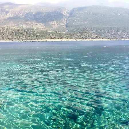 酒店 巴巴罗萨俱乐部酒店 4*