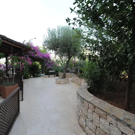 Club Barbarossa Otel 4*