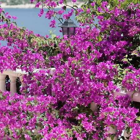 Club Barbarossa Hotel 4*